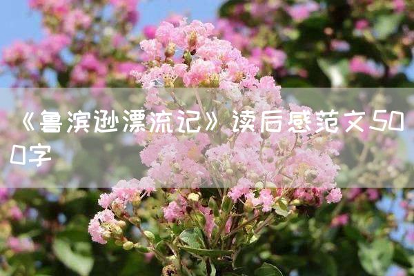 《鲁滨逊漂流记》读后感范文500字