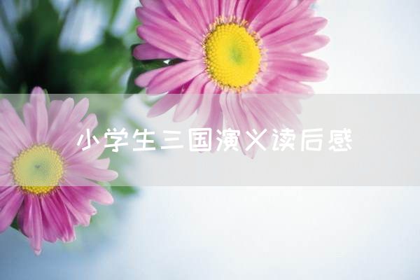 小学生三国演义读后感