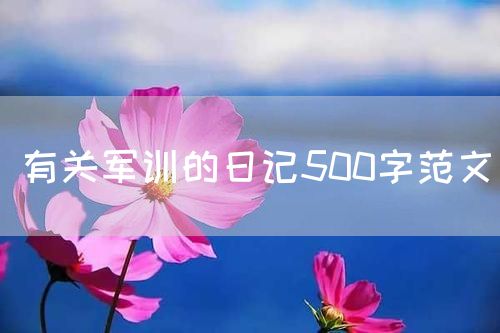 有关军训的日记500字范文