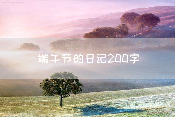 端午节的日记200字