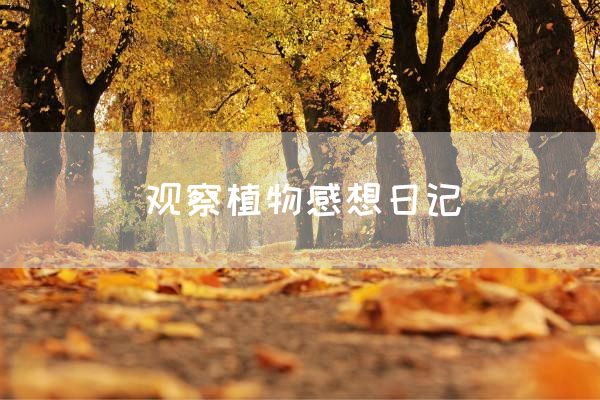 观察植物感想日记