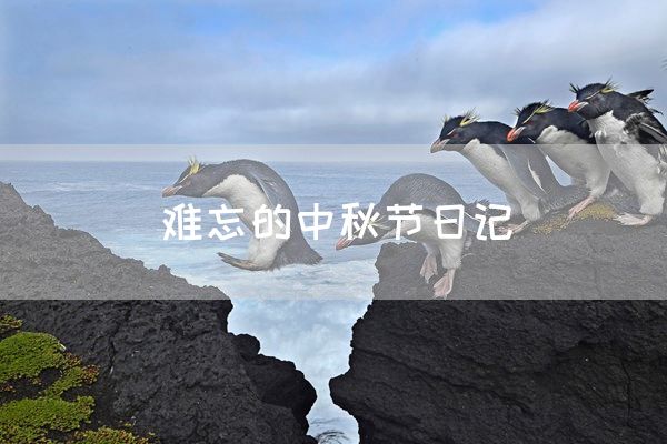 难忘的中秋节日记