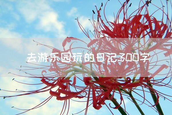 去游乐园玩的日记300字