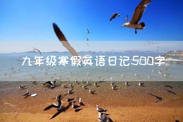 九年级寒假英语日记500字