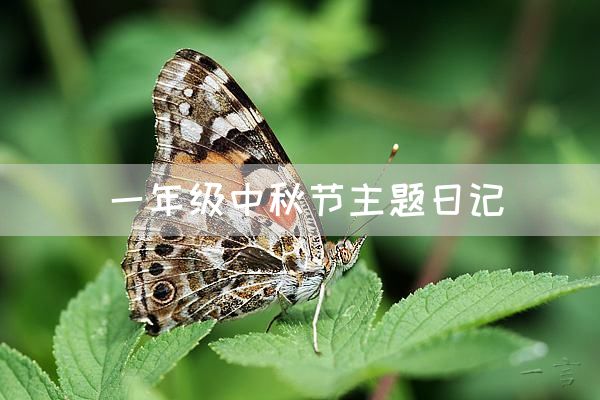 一年级中秋节主题日记