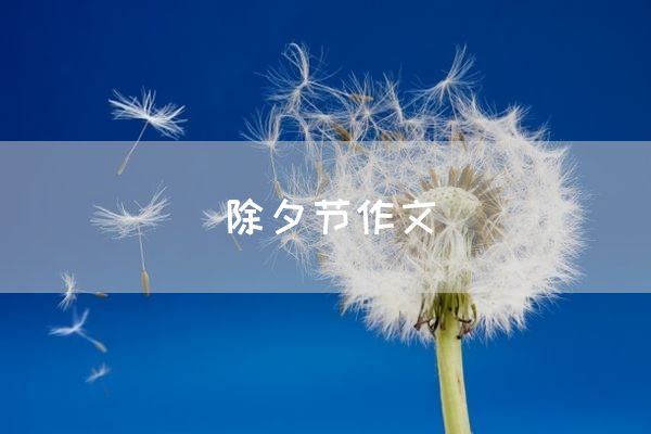 除夕节作文