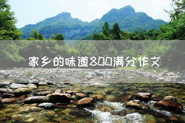 家乡的味道800满分作文