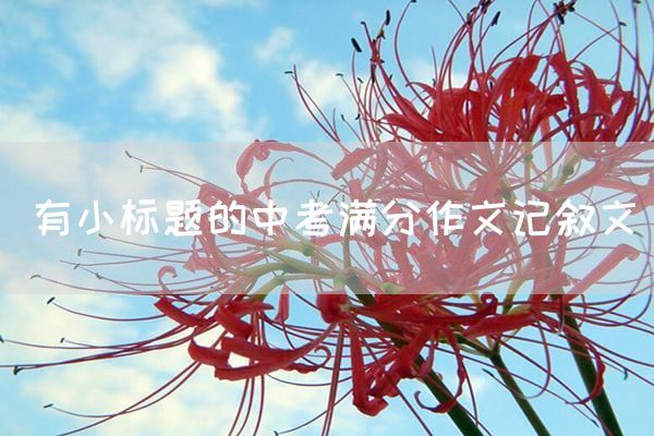 有小标题的中考满分作文记叙文