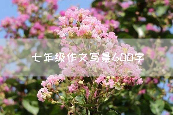 七年级作文写景600字