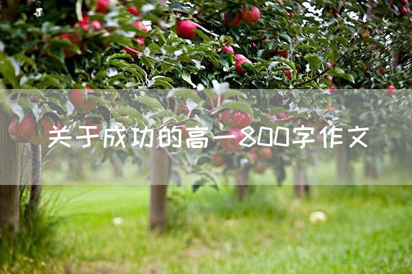 关于成功的高一800字作文