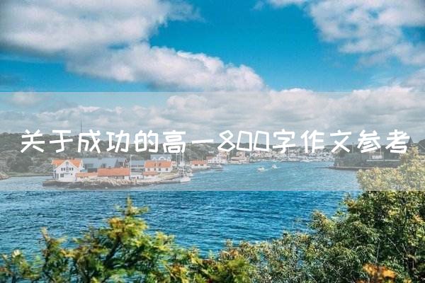 关于成功的高一800字作文参考