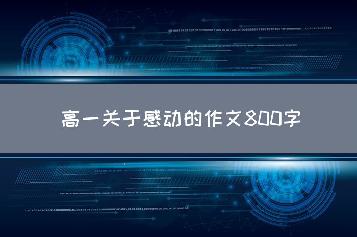 高一关于感动的作文800字