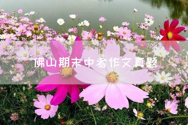 佛山期末中考作文真题