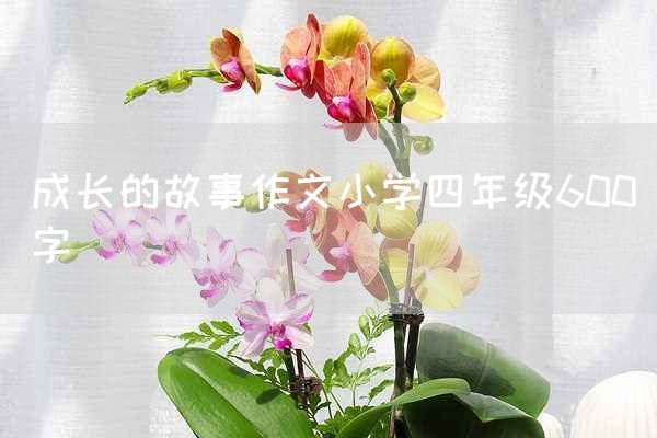 成长的故事作文小学四年级600字