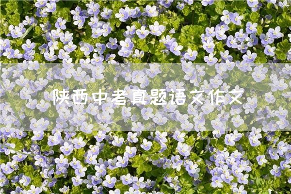 陕西中考真题语文作文