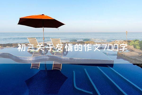 初三关于友情的作文700字