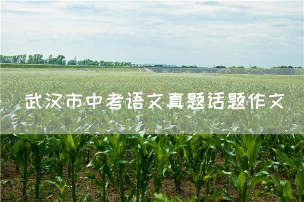 武汉市中考语文真题话题作文