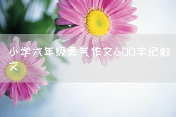 小学六年级勇气作文600字记叙文