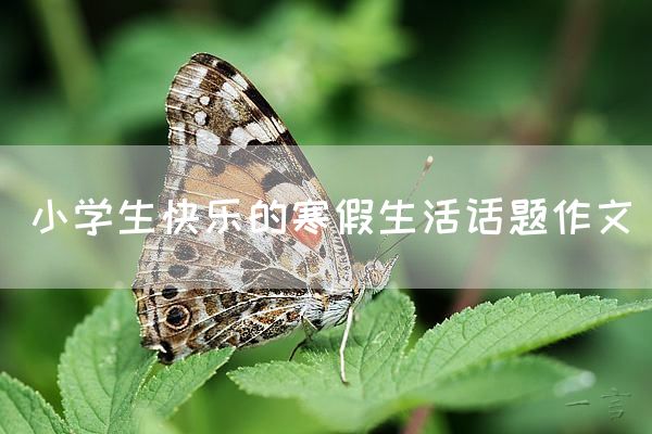 小学生快乐的寒假生活话题作文