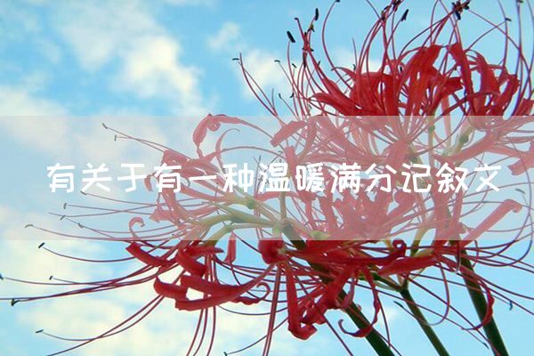 有关于有一种温暖满分记叙文