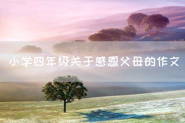 小学四年级关于感恩父母的作文